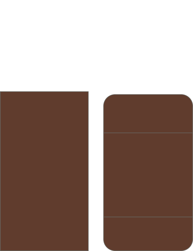 pocket bronze packaging